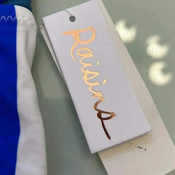 NEW Raisins Beach Please Anya Multi-color Stripe Bikini Top Tankini Swimsuit - L - Picture 5 of 6